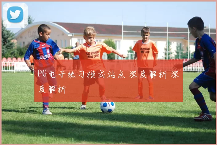 PG电子练习模式站点 深度解析 深度解析