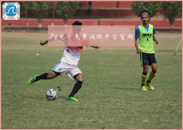 Pg电子免费试玩平台官网