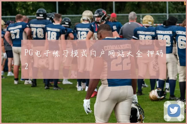 PG电子练习模式门户网站大全 押码2
