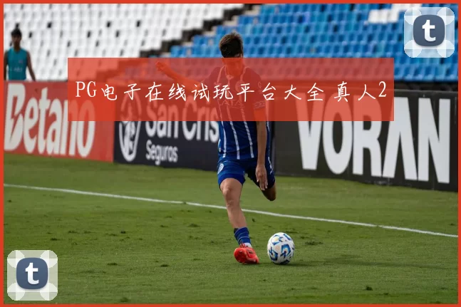 PG电子在线试玩平台大全 真人2