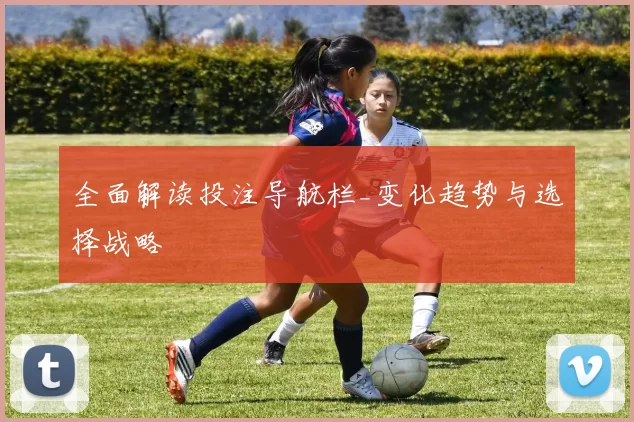 全面解读投注导航栏_变化趋势与选择战略