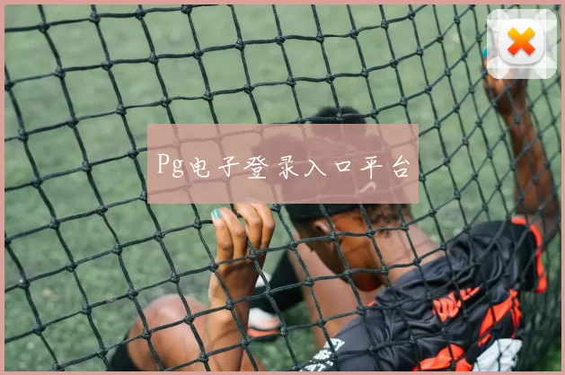 Pg电子登录入口平台