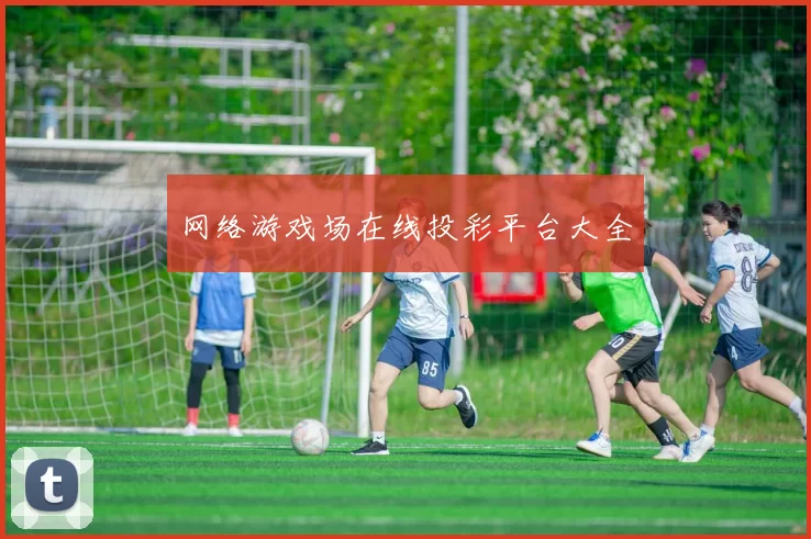 网络游戏场在线投彩平台大全