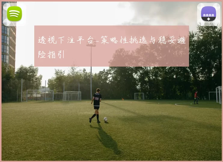 透视下注平台_策略性挑选与稳妥避险指引