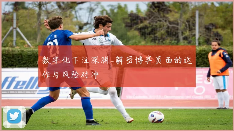 数字化下注深渊_解密博弈页面的运作与风险对冲