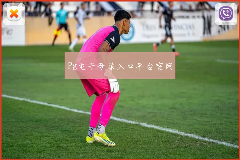 Pg电子登录入口平台官网