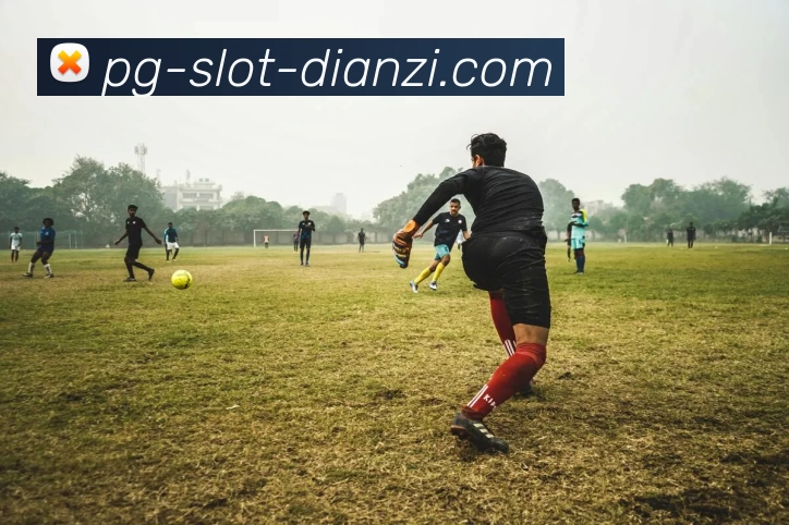 pg电子平台服务体系